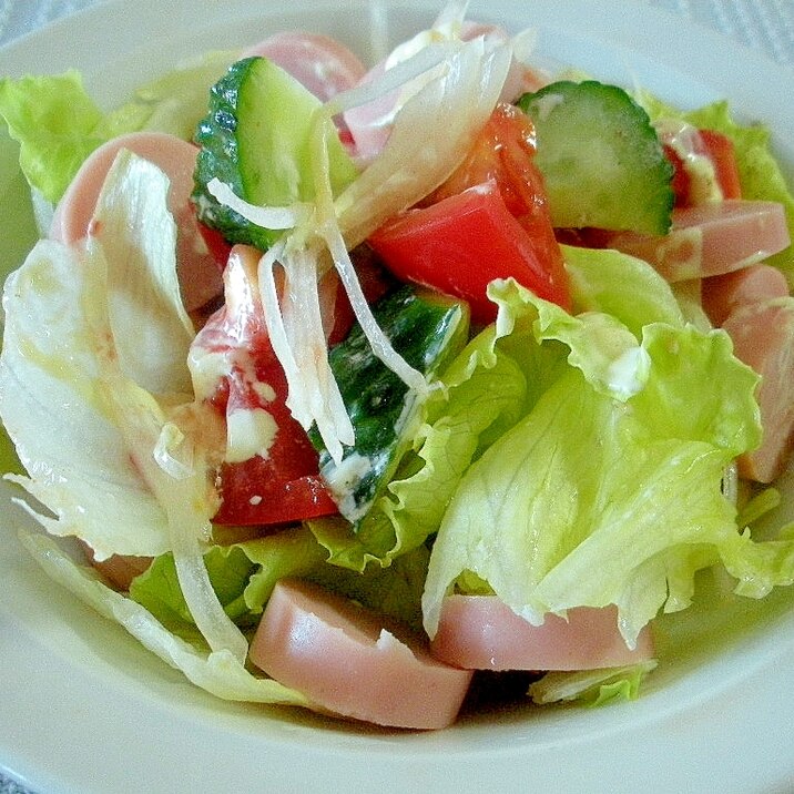 ☆野菜サラダのニンニクマヨ風味☆